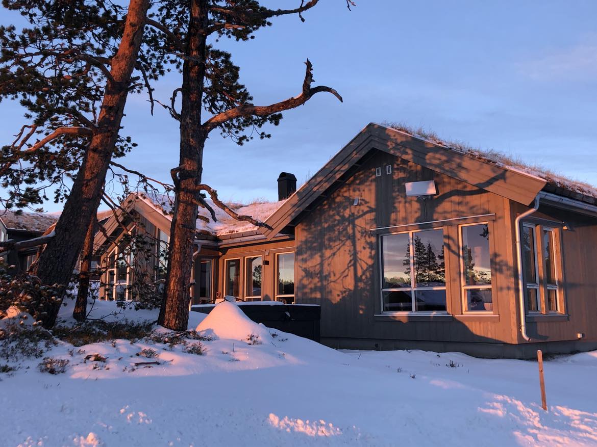 A modern cabin features a sloped roof and large windows, allowing natural light to fill the interior. Snow-covered ground surrounds the structure, while tall trees stand nearby, enhancing the serene landscape. The warm glow of the setting sun reflects softly on the building's exterior.