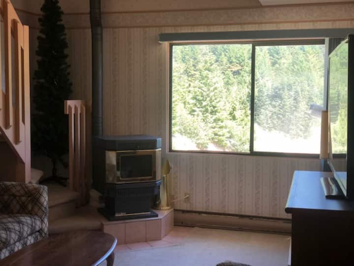 Sasquatch Mountain Condo

4 Beds - Harrison Hot Springs