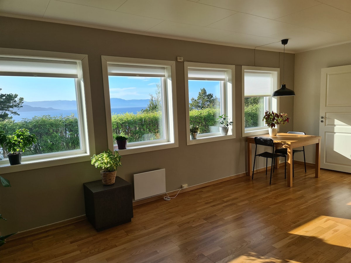 A bright room features three large windows offering scenic views of the surrounding landscape. A small wooden table with chairs is positioned near the windows, while a potted plant sits on a dark cube-shaped table. The warm wooden floor enhances the welcoming ambiance.