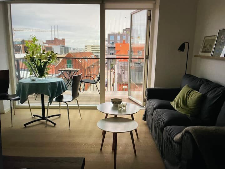 Apartment very close to the harbour Apartments for Rent in Copenhagen