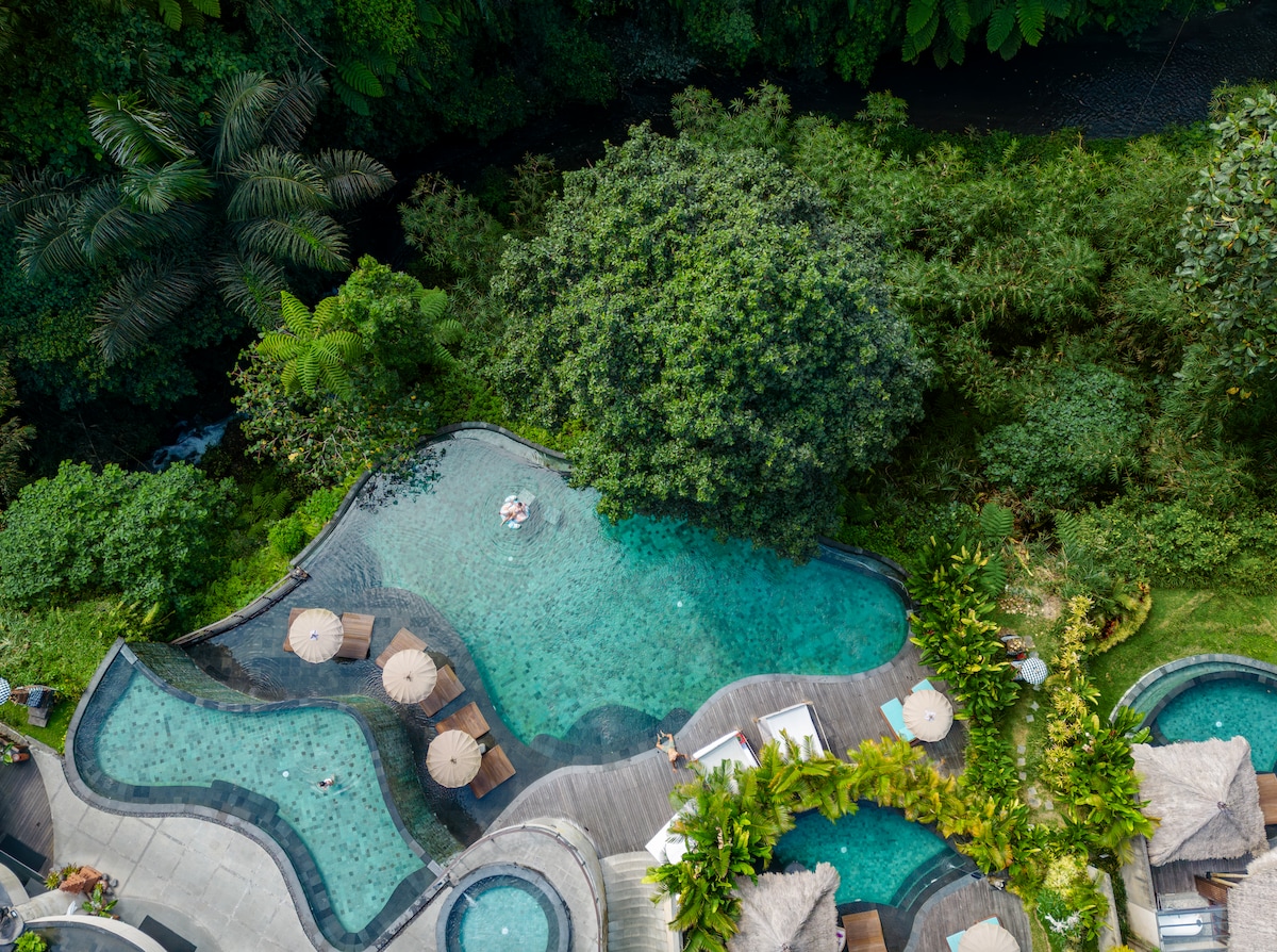An aerial view captures a winding outdoor shared swimming pool surrounded by lush greenery. Several lounge chairs are positioned under umbrellas, while tropical plants frame the pool area. The serene water contrasts beautifully with the vibrant landscape, offering a peaceful retreat.