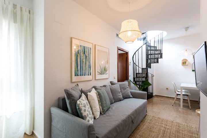 Duplex Con Terraza De Un Dormitorio En San Vicente - Sevilla