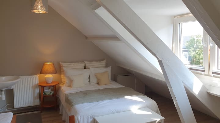 Haarlem Vakantiewoningen en accommodaties - Noord-Holland, Nederland |  Airbnb