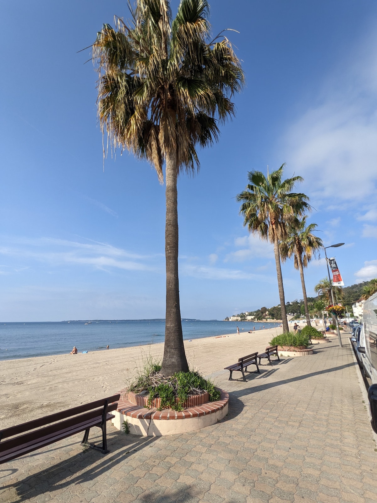 A sandy beach is viewed along a walkway lined with palm trees, providing shade and greenery. Several benches are placed near the water's edge, inviting relaxation. The sky appears bright and sunny, with a few clouds scattered above the calm sea.