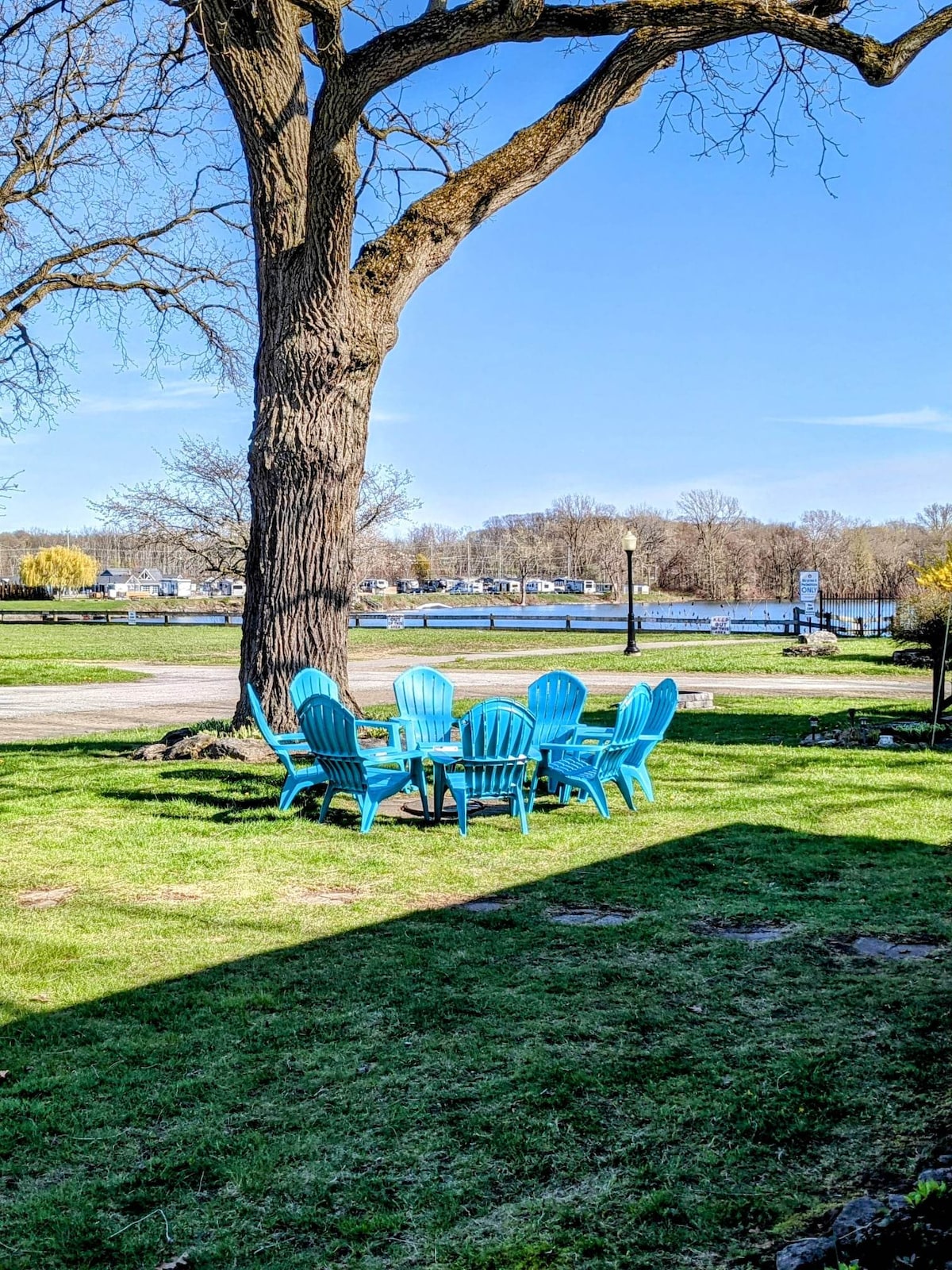 A spacious outdoor seating area features bright blue Adirondack chairs arranged around a circular table. The area is shaded by a large tree, with a view of a tranquil water body and green grass surrounding the setup.