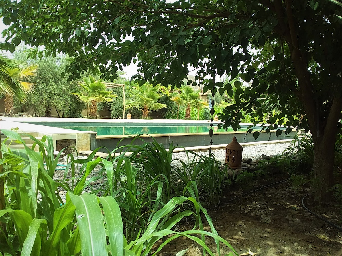 A tranquil outdoor area is visible, featuring an infinity pool surrounded by lush greenery. Palm trees can be seen in the background, with a decorative lantern placed among the plants, enhancing the serene ambiance of the garden.