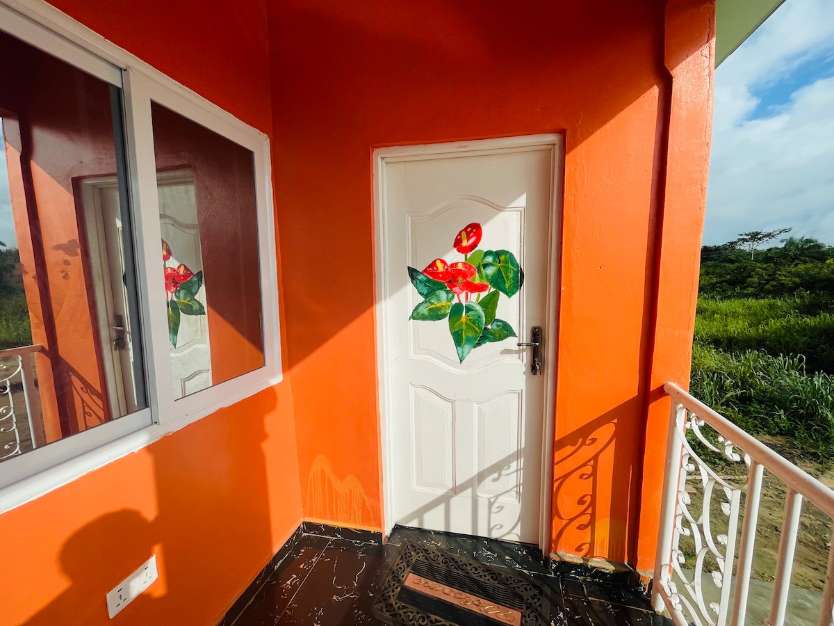 An orange exterior wall featuring a decorative door adorned with a floral design is shown. A nearby window allows natural light to illuminate the entrance. Lush greenery is visible through the opening beside the door.