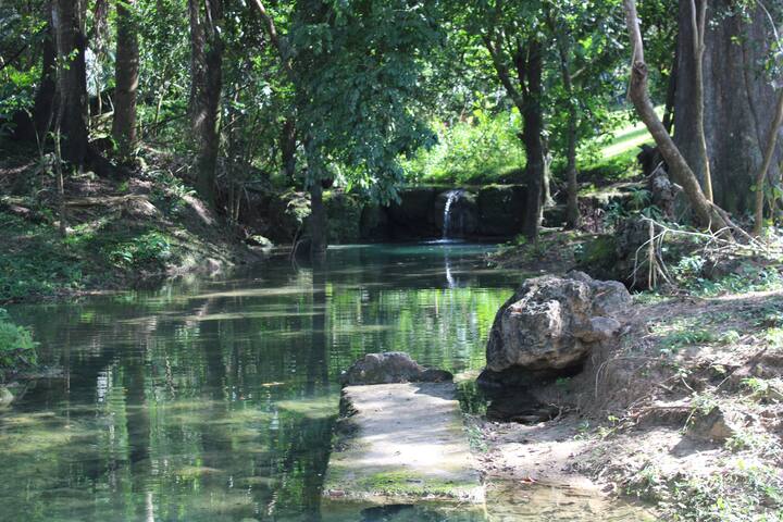 8 room tropical eco-jungle lodge near ATM cave gallery image 3