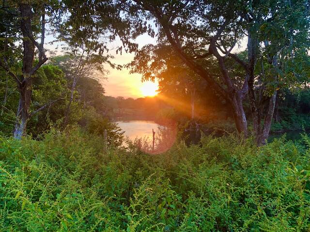 8 room tropical eco-jungle lodge near ATM cave gallery image 2