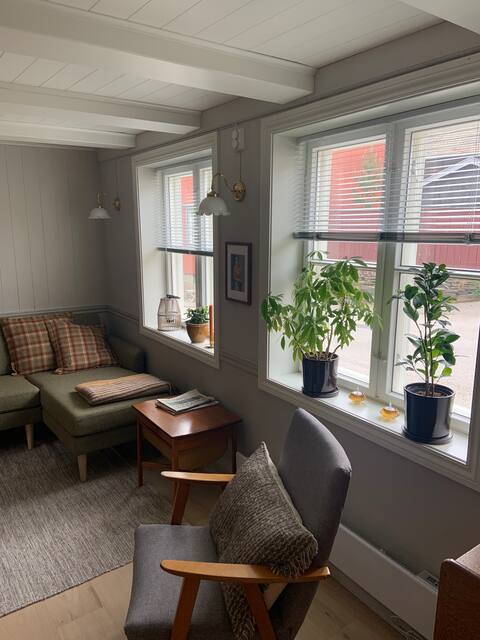 Cozy apartment in the middle of Røros