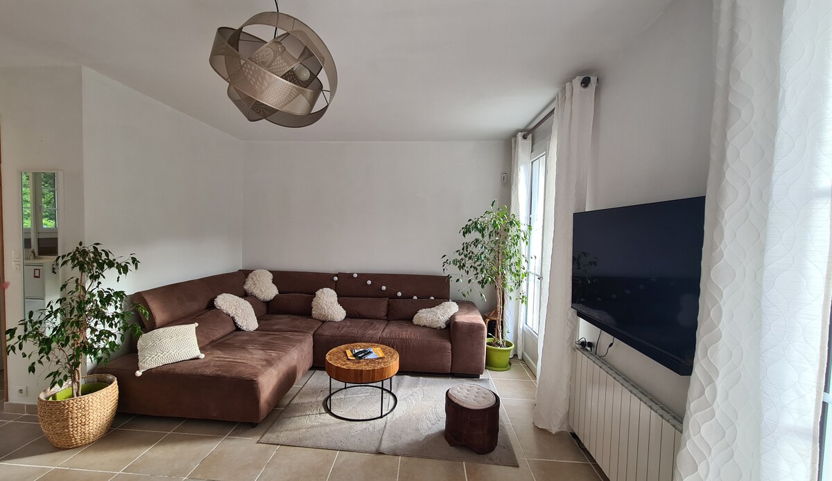 أريكة غرفة المعيشة