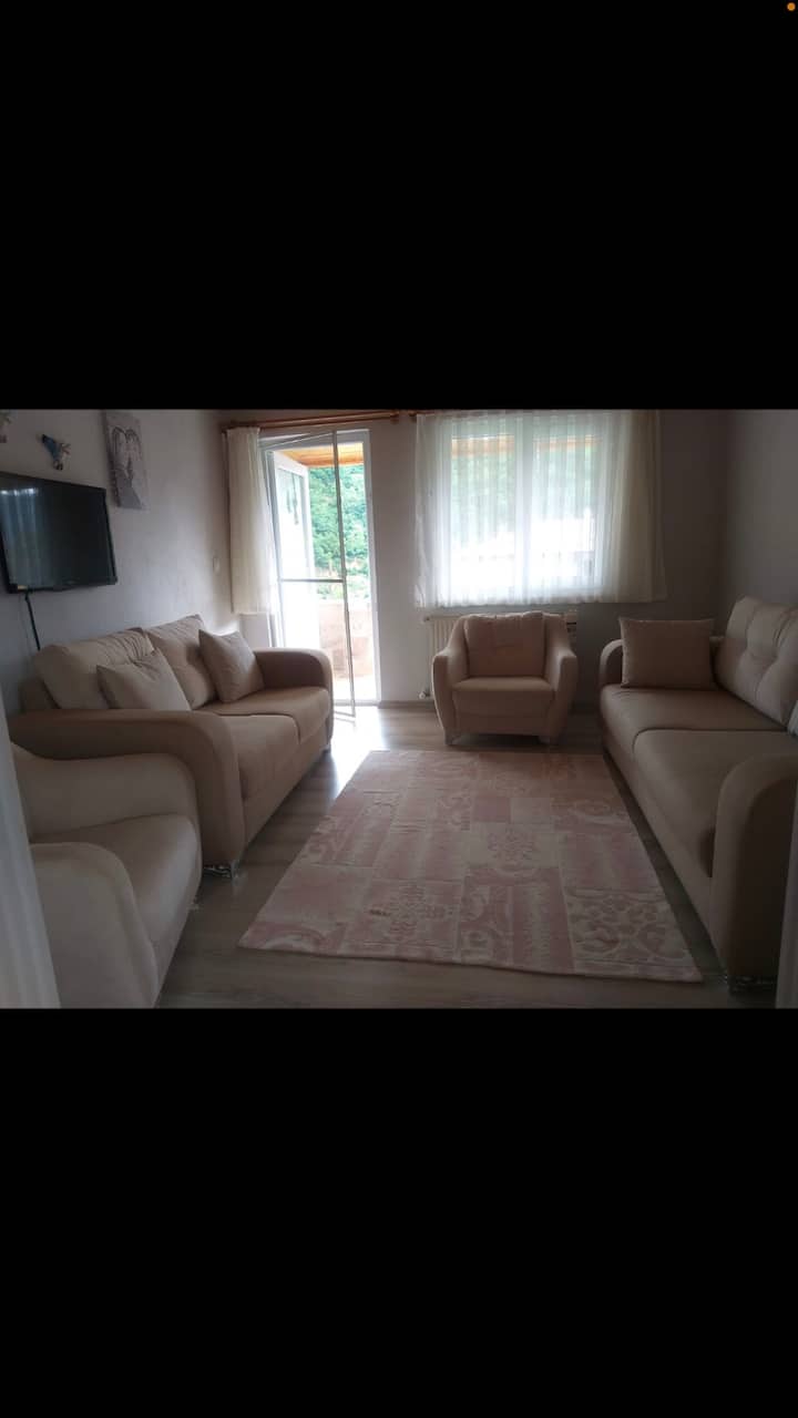 Mojawapo ya vitanda vya sofa ni kitanda cha watu 2