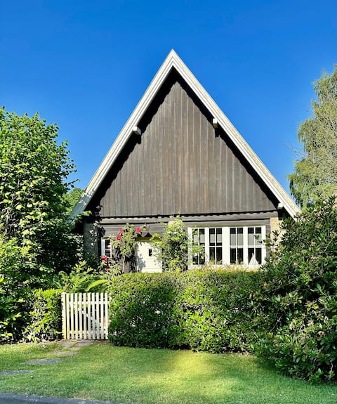 A (tiny) cottage in the woods!