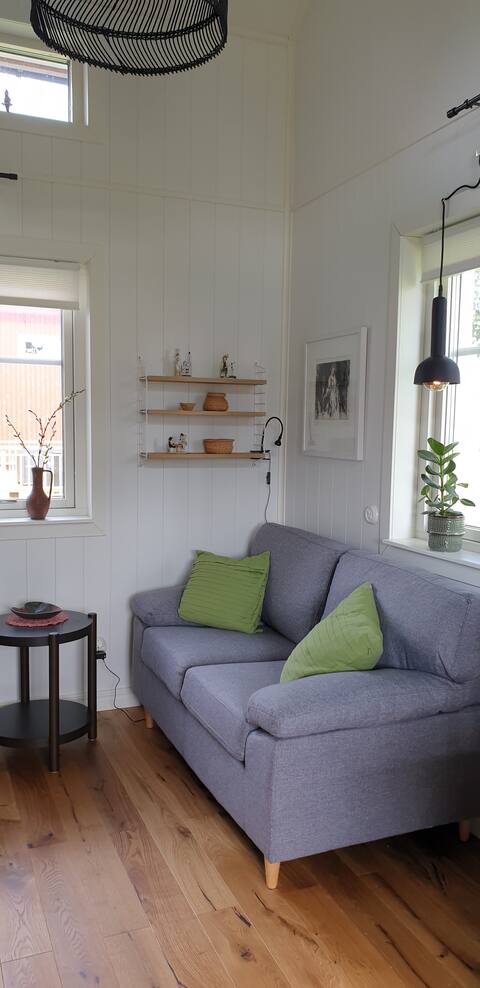 Top performing Airbnb: Little house in the countryside, Diana's farmhouse in Boden