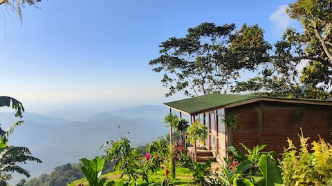 Private Ocean View Cabin with terrace, hammocks