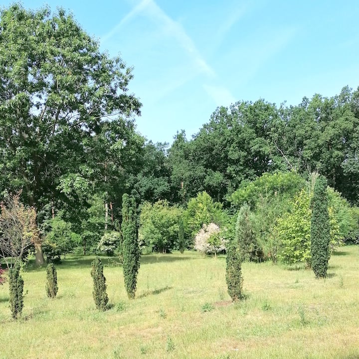 Treppenspeicher, Klassisch Und Edel - Bispingen