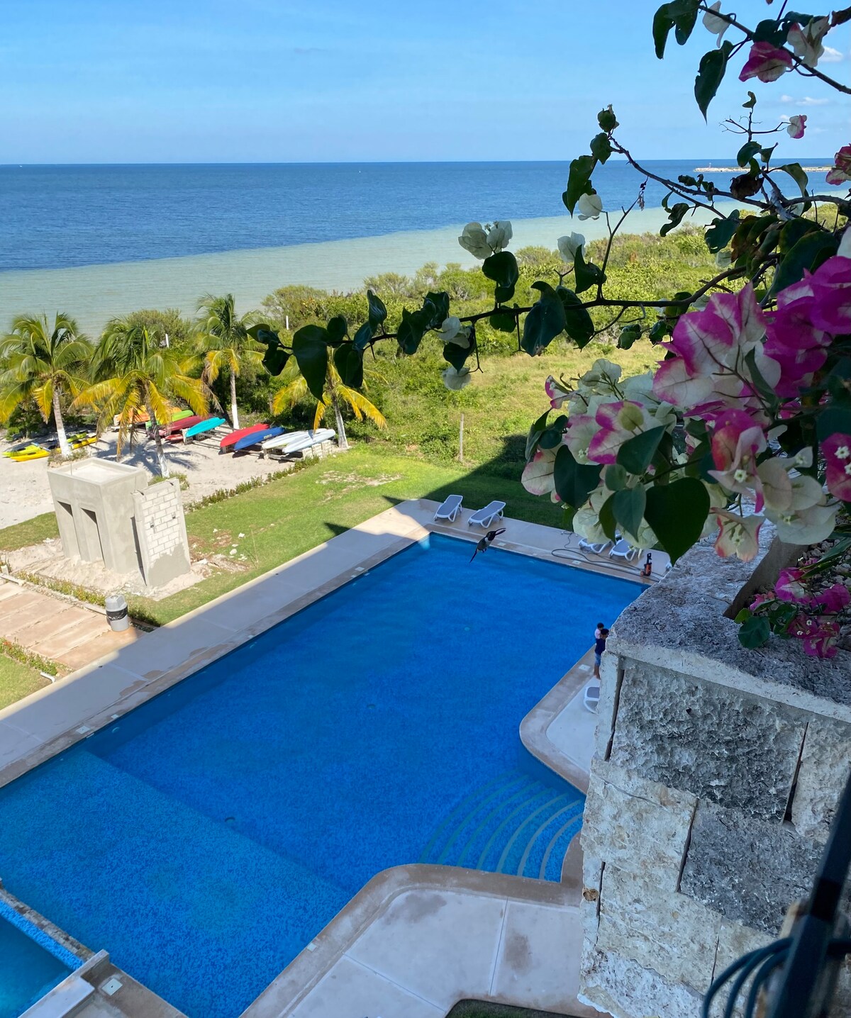 A spacious shared pool reflects the bright blue sky, surrounded by lush greenery and palm trees. Brightly colored loungers are positioned nearby, while the tranquil waters of the Gulf of Mexico are visible in the background, creating a peaceful seaside atmosphere.