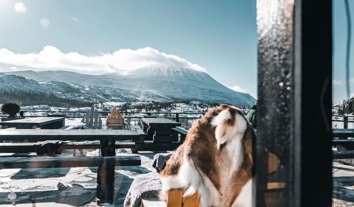 A stunning view of a snow-covered mountain is framed by a large window. In the foreground, a soft fur throw is draped over a wooden chair, inviting relaxation. The clear blue sky above complements the serene winter landscape.