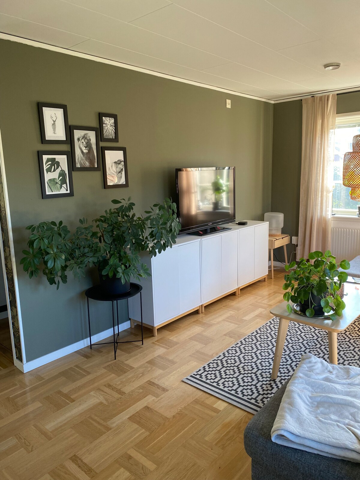 მისაღები ოთახი