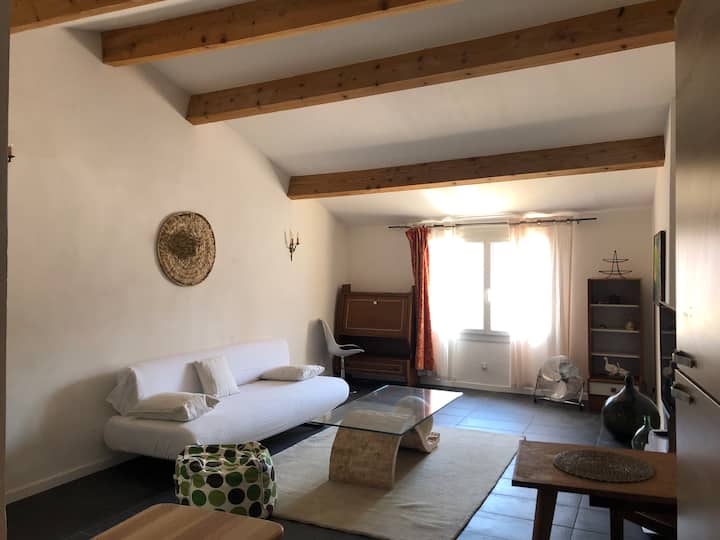Appartement 1 Ch, Terrasse. - Apt