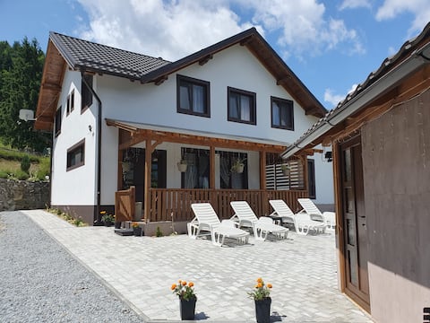 Villa Andrei Colibita