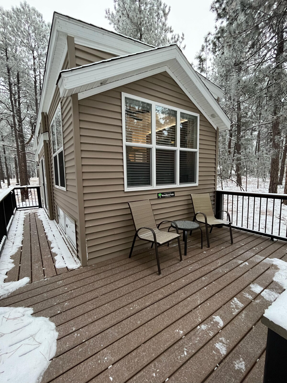 A cozy deck area is shown, featuring two outdoor chairs positioned on a snow-covered patio. The structure is surrounded by tall pine trees, with large windows allowing natural light to enter. Snow lies gently on the deck and ground, enhancing the serene atmosphere.