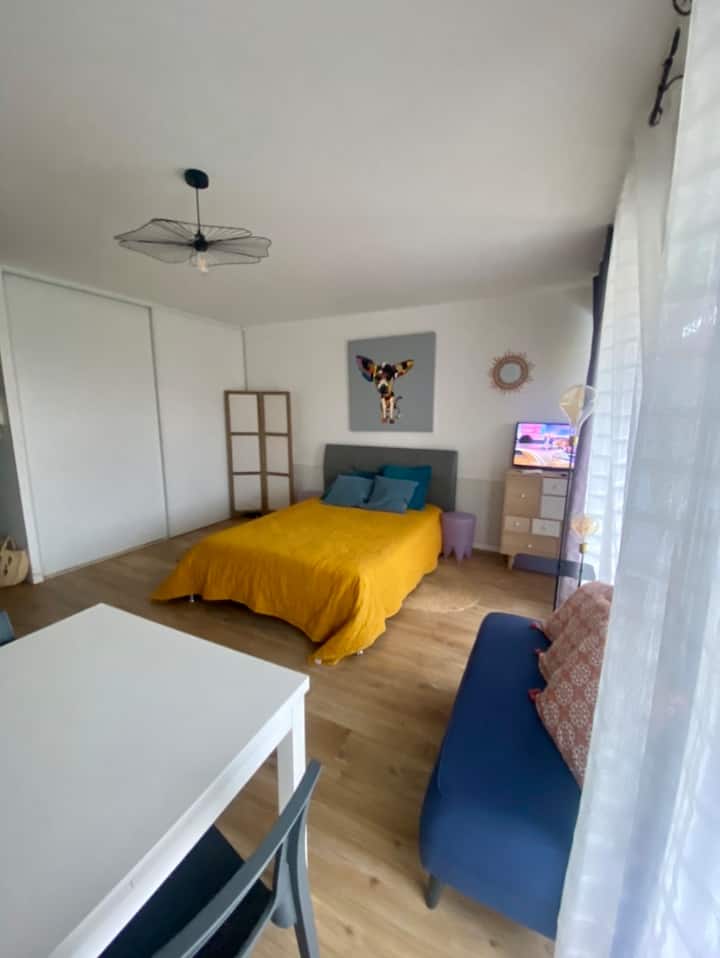 Studio Avec Piscine - Carnon