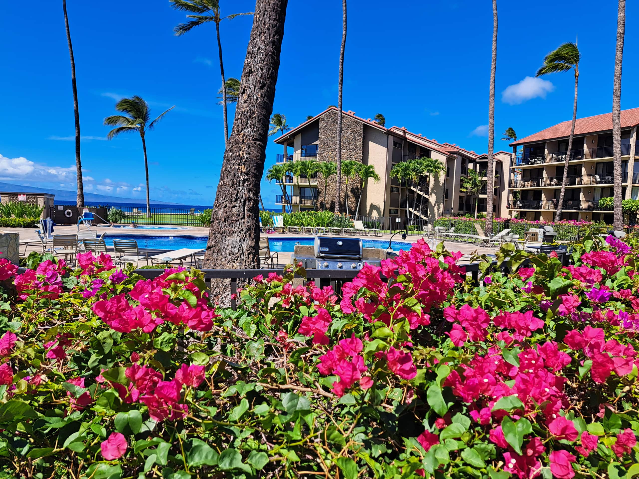 Condo in Lahaina · ★4.99 · 1 bedroom · 2 beds · 1 bath - Image 39