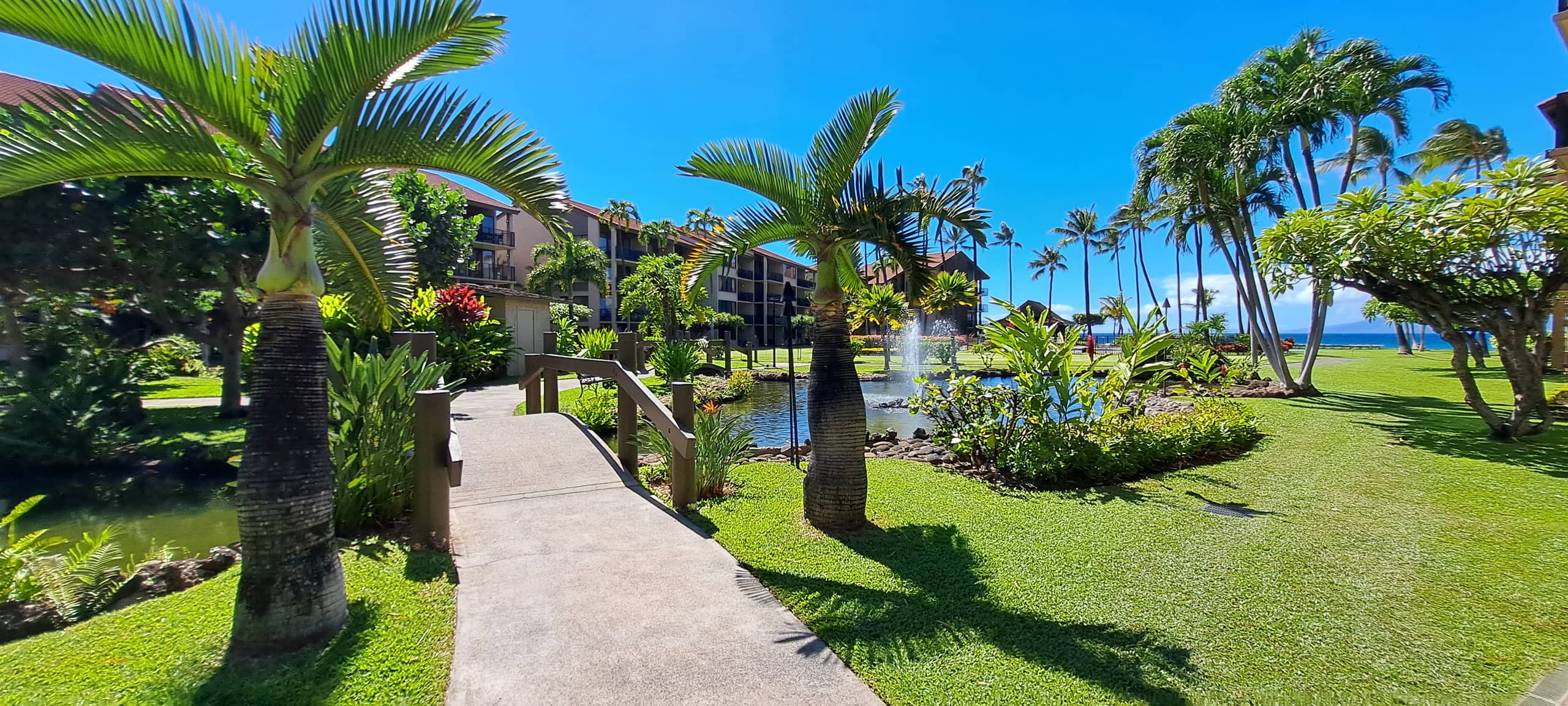 Condo in Lahaina · ★4.99 · 1 bedroom · 2 beds · 1 bath - Image 35