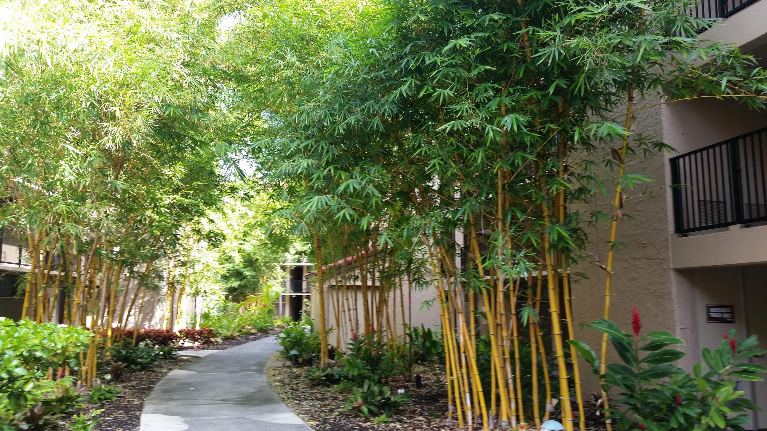 Condo in Lahaina · ★4.99 · 1 bedroom · 2 beds · 1 bath - Image 23