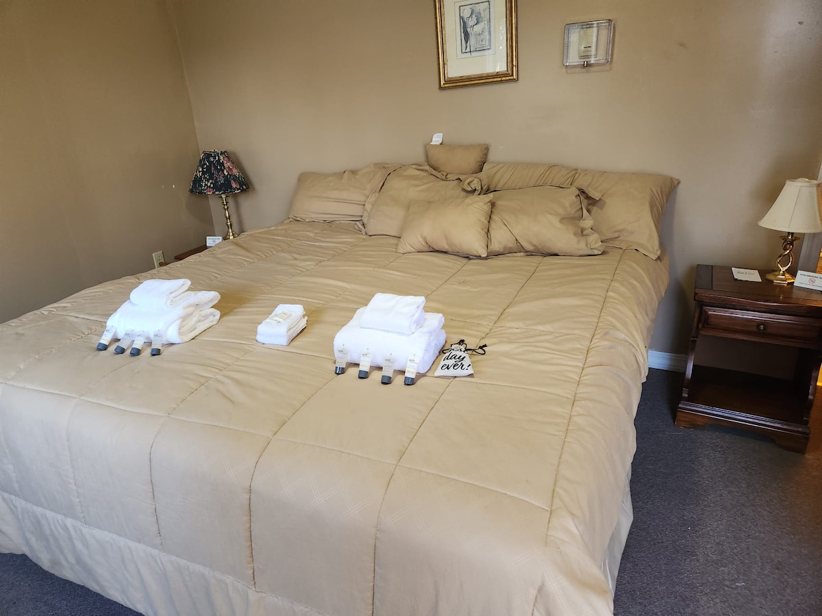 A spacious bed is dressed in neutral tones, accompanied by an arrangement of neatly folded towels. A bedside table supports a small lamp, while a framed picture hangs on the wall, enhancing the room's calming ambiance.