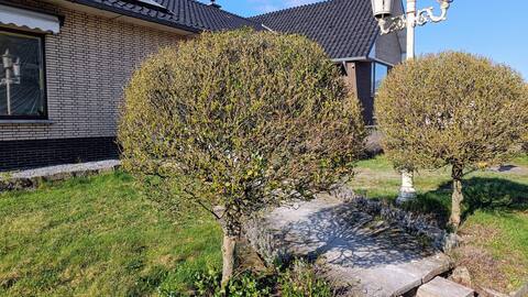 Casa Roman Vakantiewoning