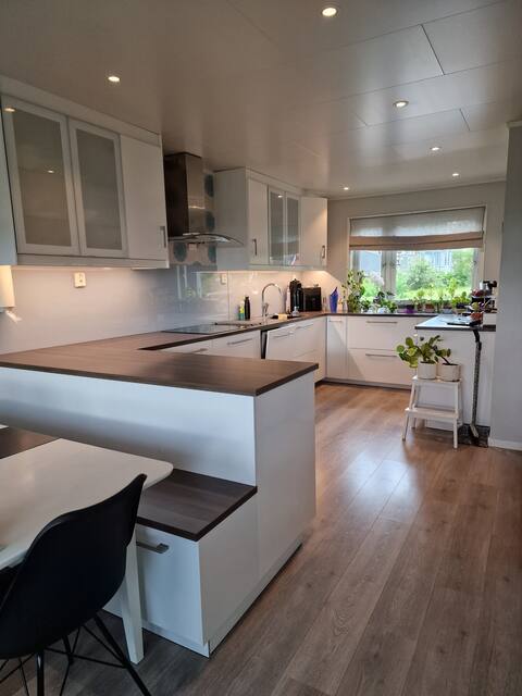 Single-family home with space for 8+