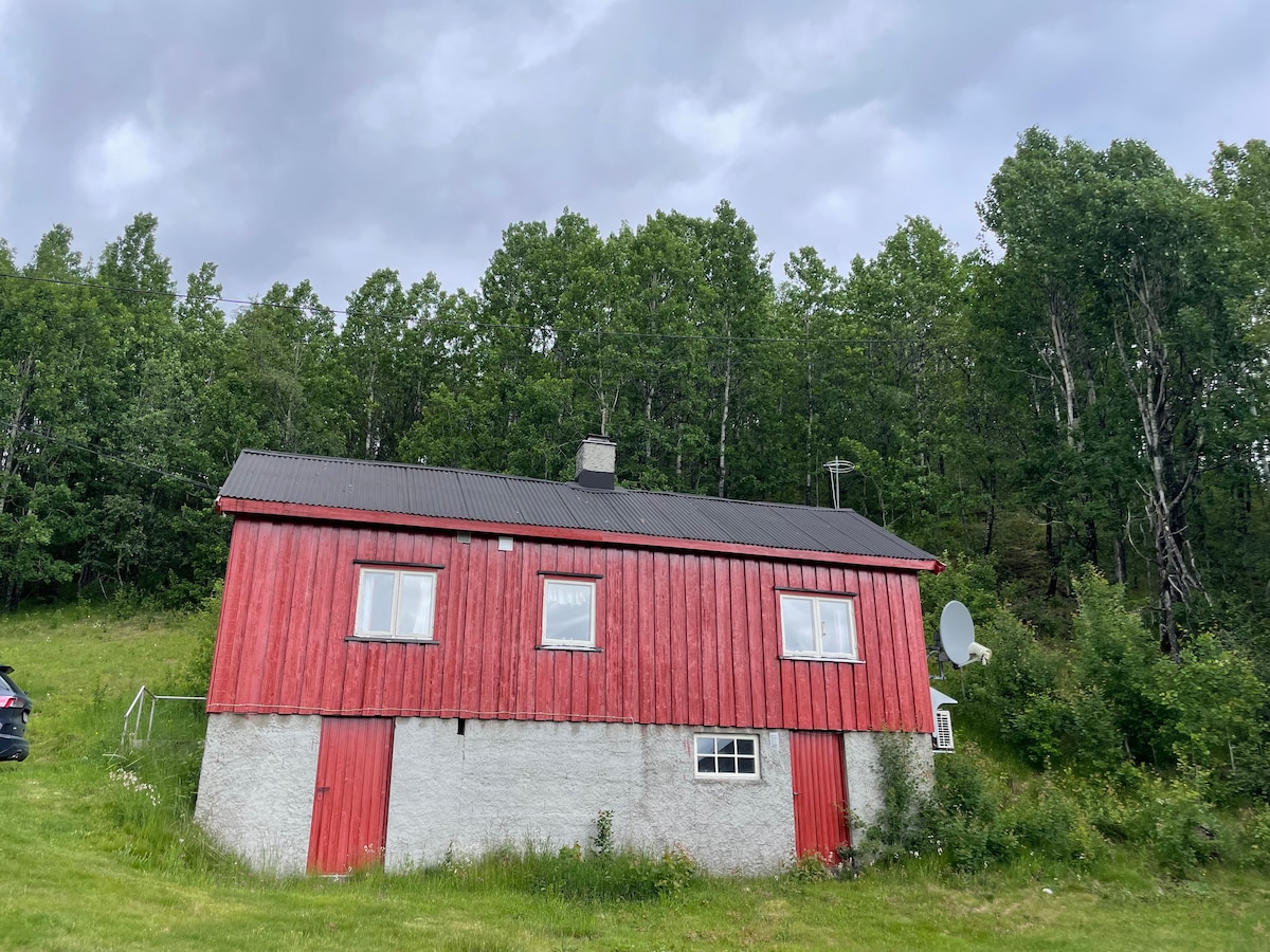 A charming red cabin is set against a backdrop of lush greenery. The structure features a mix of wood and concrete, with large windows allowing natural light inside. A grassy area surrounds the cabin, creating a peaceful outdoor space.