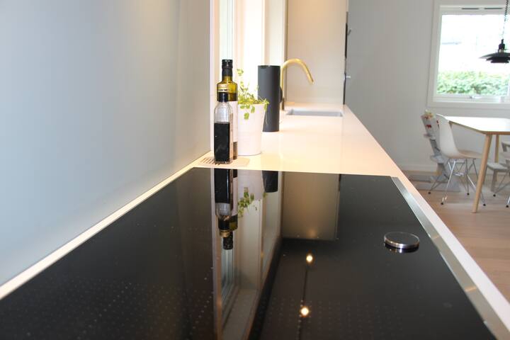 Spacious house with garden central in Oslo gallery image 3