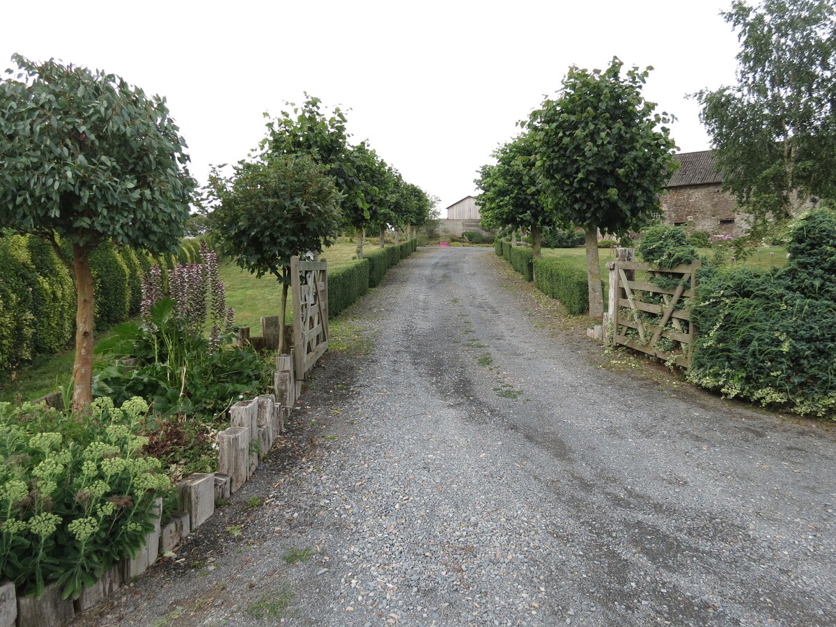 A gravel driveway is bordered by neatly trimmed hedges and trees on either side. The pathway leads towards a distant building, partially obscured by greenery and flower beds, creating an inviting entrance to the property.