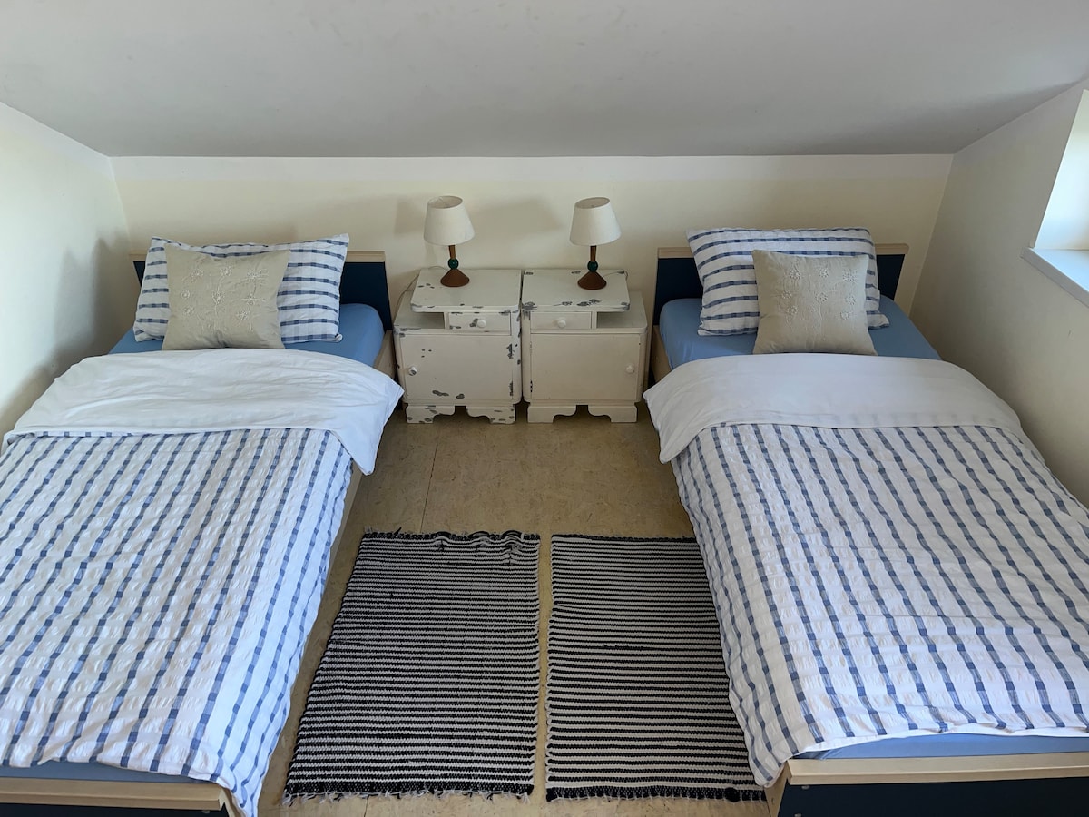Two individual beds are positioned side by side, dressed in striped bedding. A pair of bedside tables, each with a lamp, complement the beds. A patterned rug sits beneath them, providing a cozy touch to the room. Natural light filters in through a nearby window.
