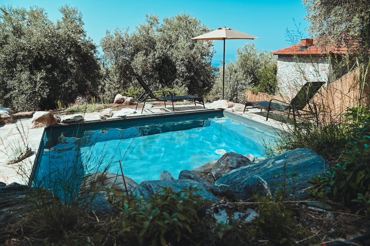 A serene swimming pool is surrounded by natural stone and lush greenery. Lounge chairs are positioned beside the pool, along with a sun umbrella providing shade. Olive trees dot the landscape, complementing the tranquil outdoor setting.