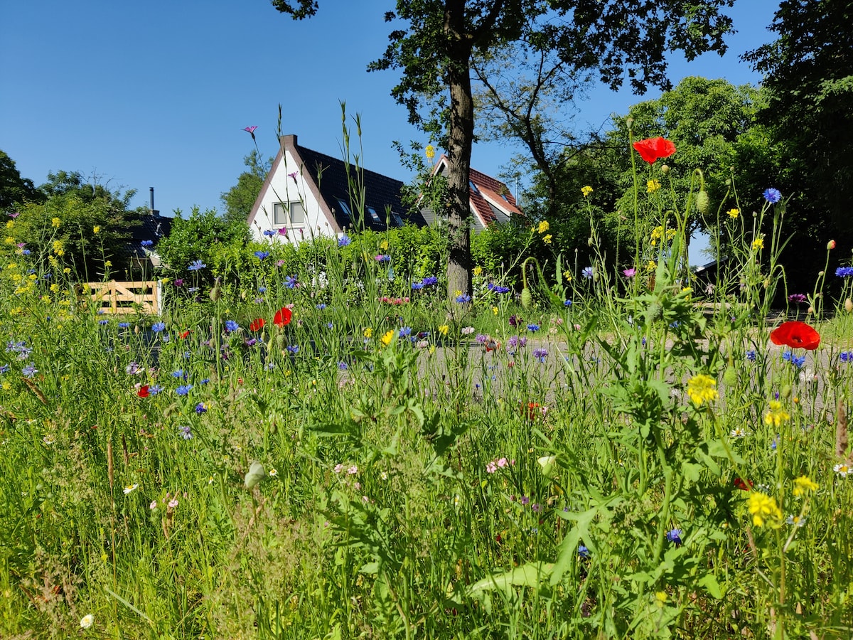 A vibrant field of wildflowers stretches towards a charming house partially hidden by greenery. Red poppies and various colorful blooms create a natural foreground under a clear blue sky, adding a sense of tranquility to the welcoming landscape.