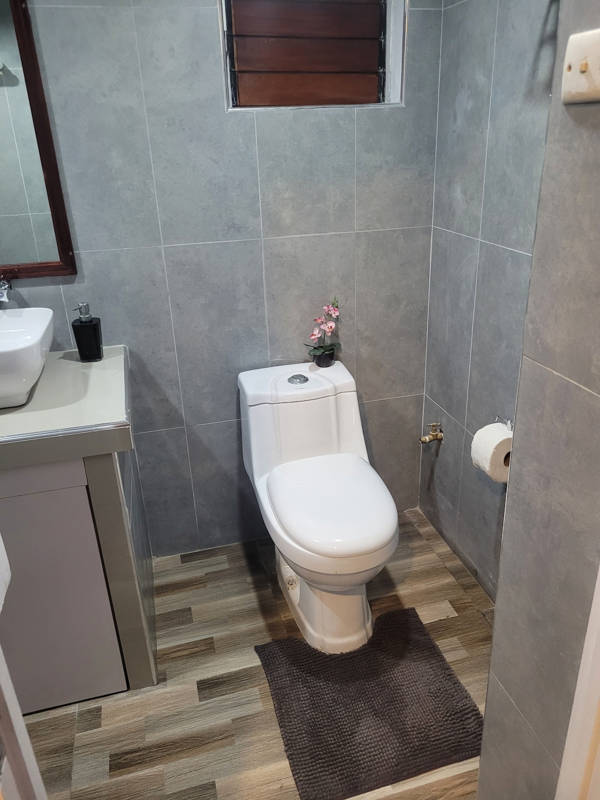 A compact bathroom is displayed, featuring gray tiled walls and a light wood floor. A white toilet stands next to a modern sink, accompanied by a small potted plant for a touch of decoration. A roll of toilet paper is positioned nearby.