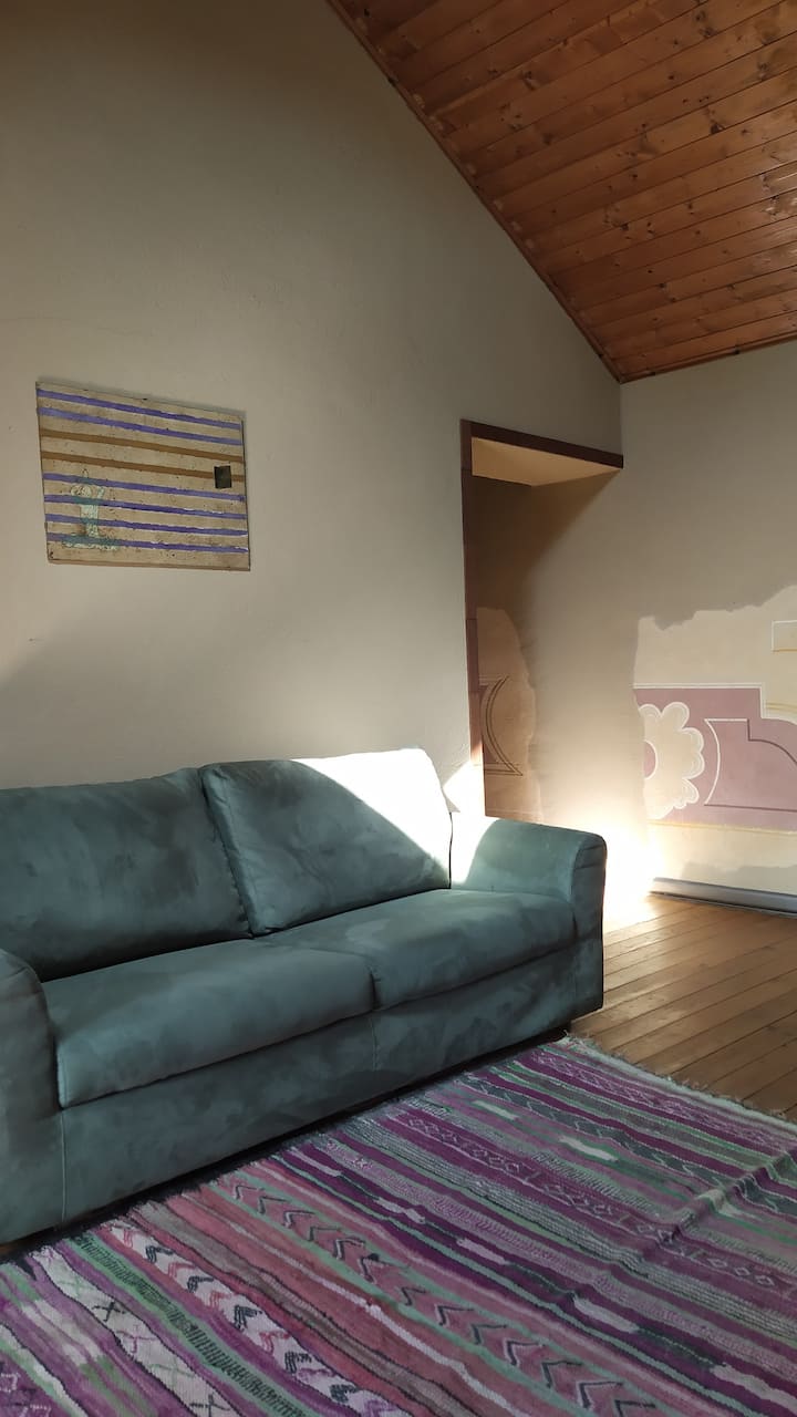 Გასაშლელი დივანი მისაღებ ოთახში