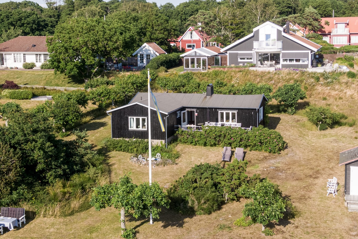 A single-story black wood house is set in a green landscape, surrounded by trees and shrubs. A flagpole stands in the front yard. Several outdoor seating areas, including lounge chairs, are visible, with neighboring houses creating a serene backdrop.