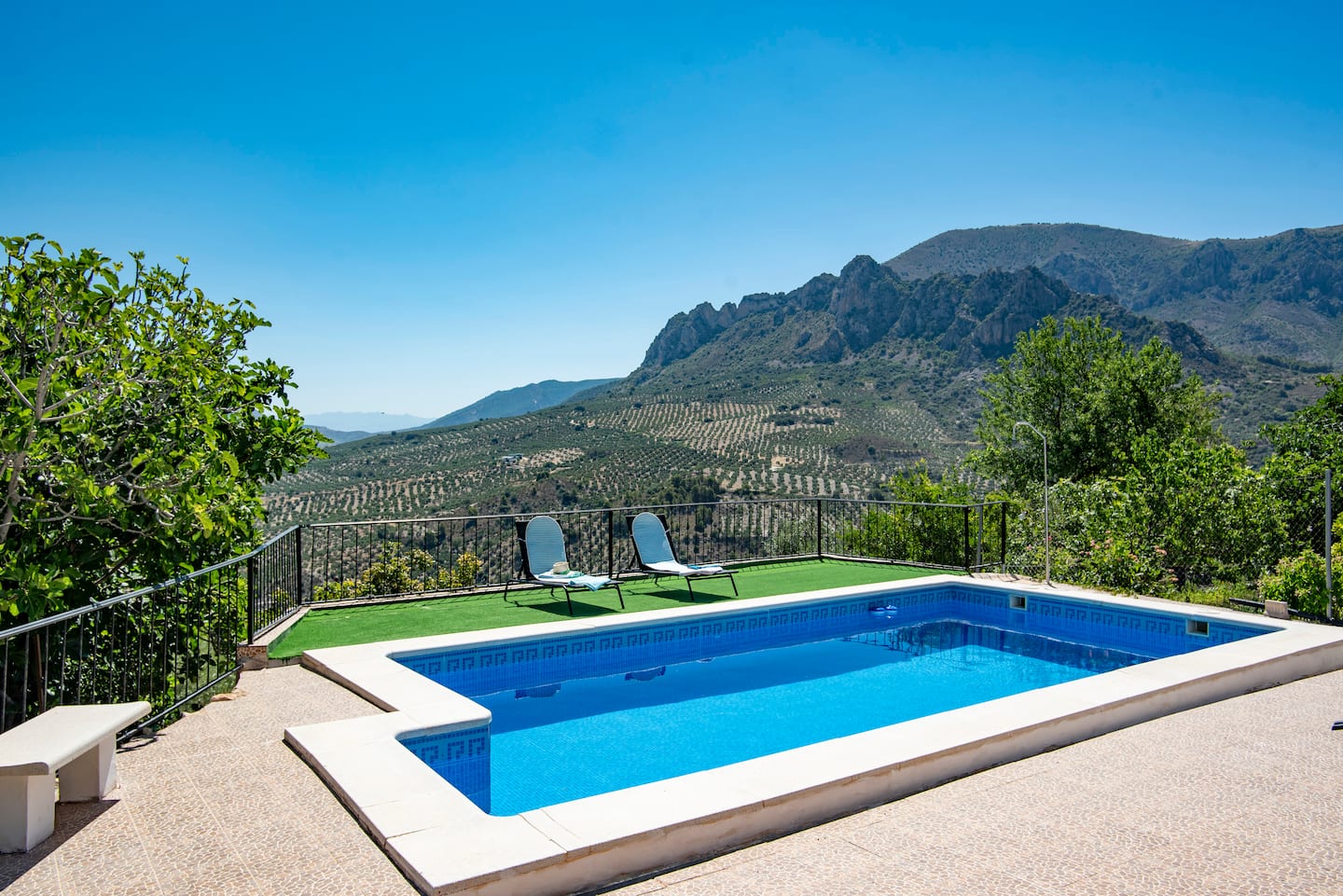 La puesta de sol a través de un denso bosque.