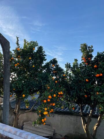 Quinta do Alto Gandra gallery image 5