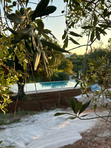 Portico – Heated pool -Trulli 4 apartments gallery image 3