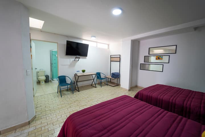 Garden Suite 3 - Aguascalientes