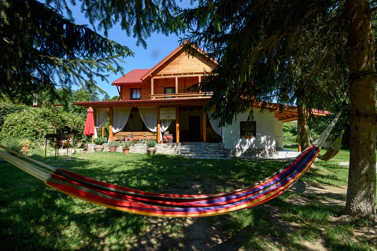 A wooden house with a red roof is framed by lush greenery. A vibrant hammock is strung between trees in the foreground. Potted plants adorn the porch area, while a shaded umbrella offers a relaxing outdoor space for guests.