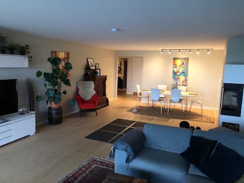 Successful Airbnb property: Great apartment (140 sqm) in Nordre Aker