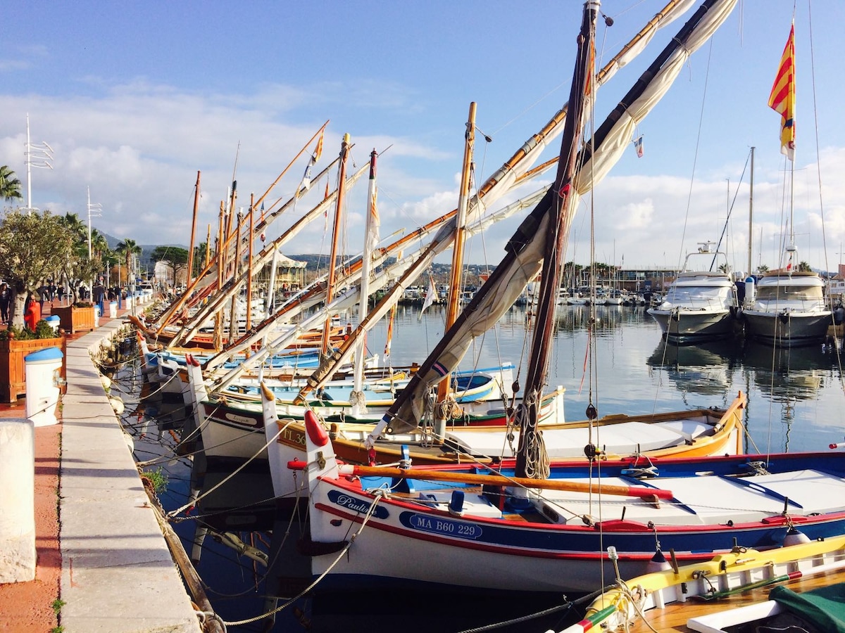 A marina scene is captured with traditional boats moored along a calm waterfront. Colorful sails and masts stand tall against a clear blue sky, while the water reflects the serene surroundings. Nearby, the path is lined with potted plants and the hustle of waterfront activities is implied.