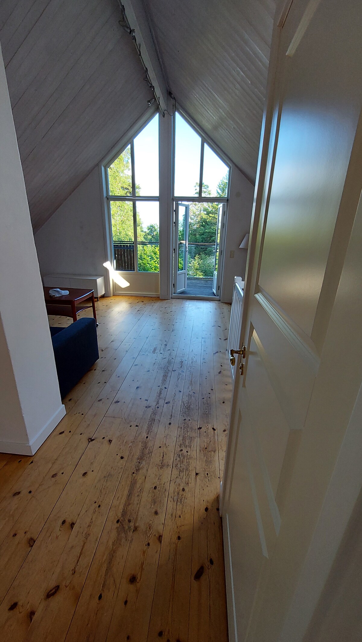 Spacious archipelago villa near the sea